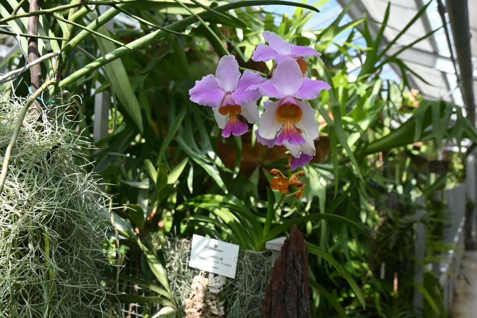 Wycieczka do Ogród botaniczny Kraków