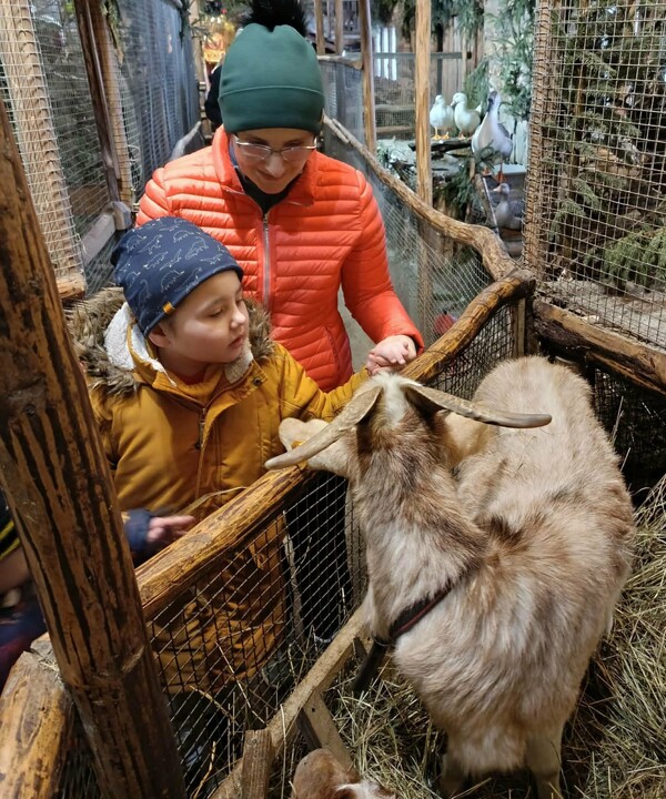 Odwiedziny w żywej szopce