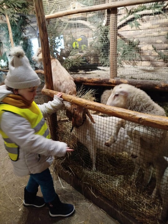 Odwiedziny w żywej szopce