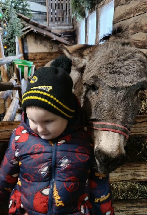 Odwiedziny w żywej szopce