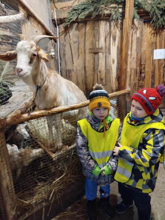 Odwiedziny w żywej szopce