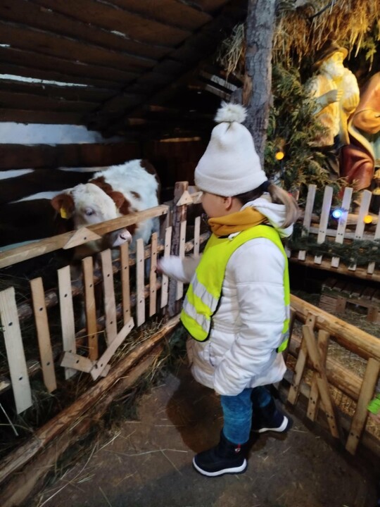 Odwiedziny w żywej szopce