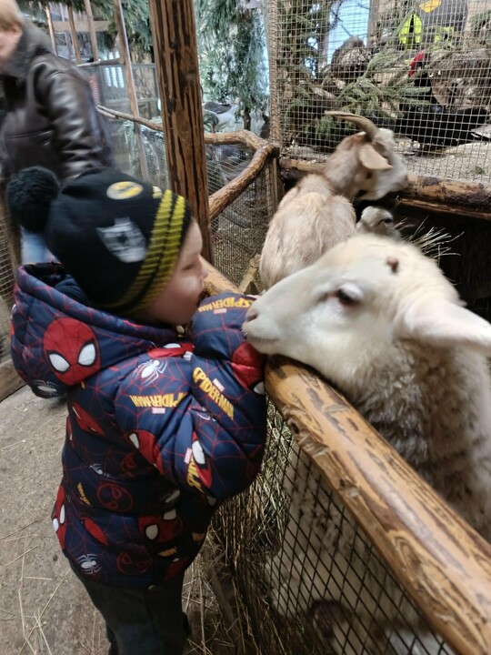 Odwiedziny w żywej szopce