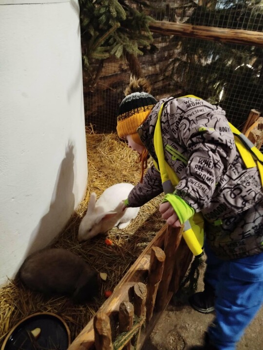 Odwiedziny w żywej szopce