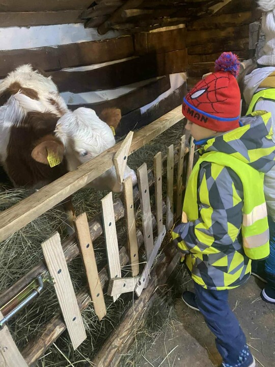 Odwiedziny w żywej szopce