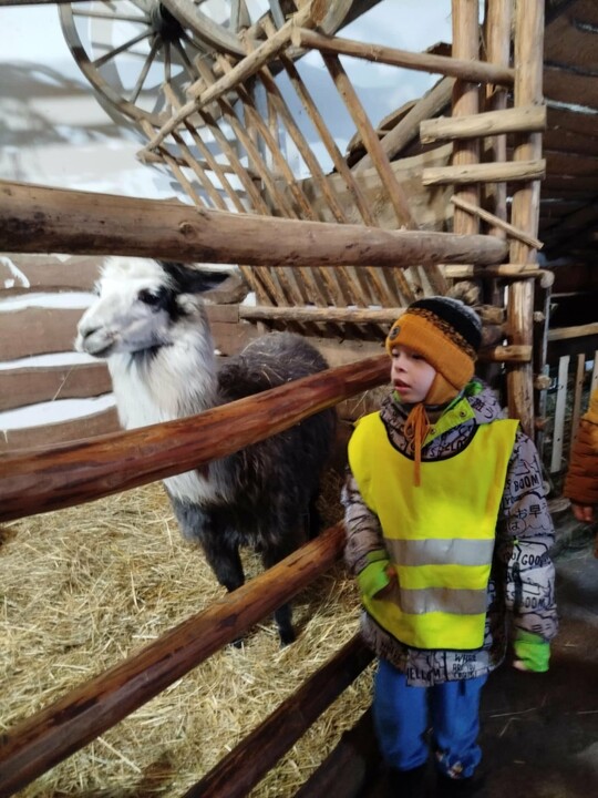 Odwiedziny w żywej szopce